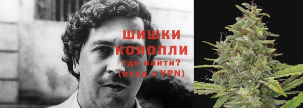 стафф Богородицк