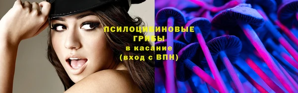 стафф Богородицк