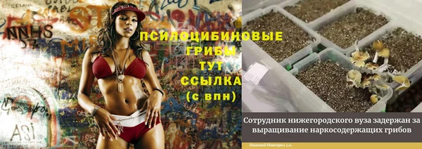прущие грибы Бугульма
