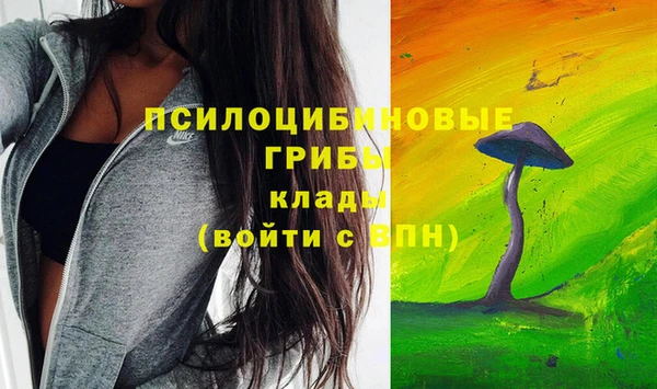 прущие грибы Бугульма