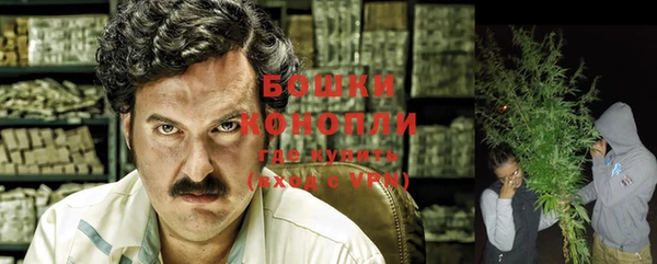 гашик Бородино