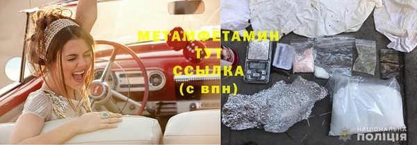 прущие грибы Бугульма