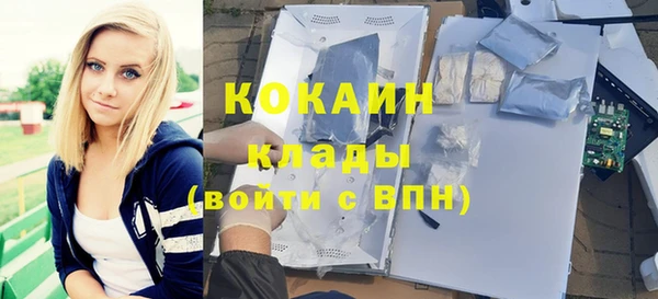 прущие грибы Бугульма