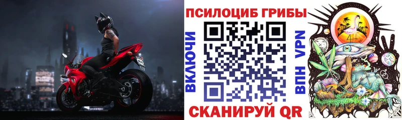 Галлюциногенные грибы ЛСД  купить наркоту  Сретенск 